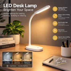 LED Desk Lamp